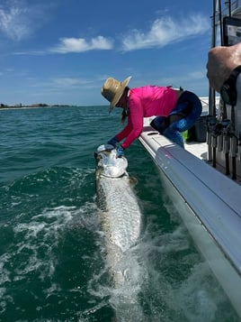 Half day– Tarpon