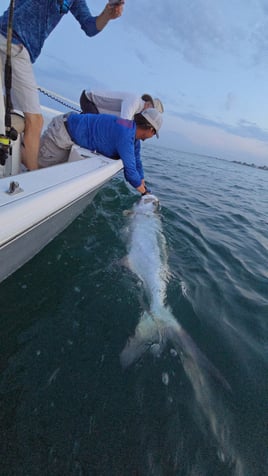 Sunrise Tarpon Trip