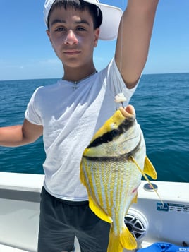 Fishing inshore nearshore 