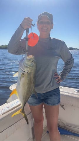 Back Country Artificial Trip