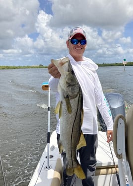 Back Country Artificial Trip