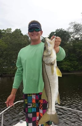 Back Country Artificial Trip