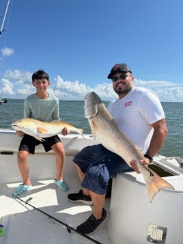 Bay/Jettys - Light/Heavy Tackle!