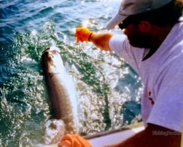 Boca Grande Pass Tarpon Fishing