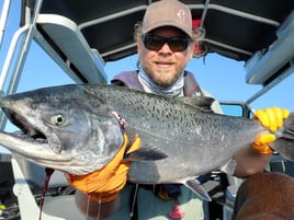 Columbia River Spring Chinook