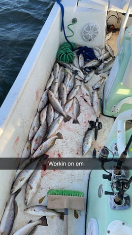 5 hour Trip offshore