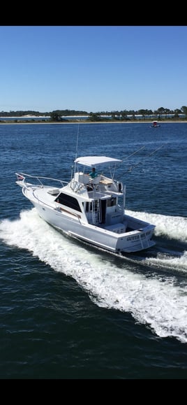 3 Hour Trolling Kids Trip