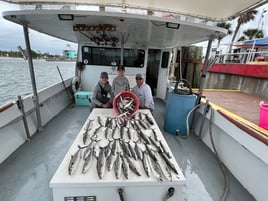 3 Hour Trolling Kids Trip