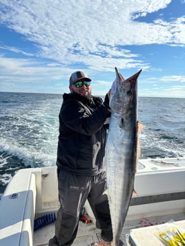 24 hr Tuna safari