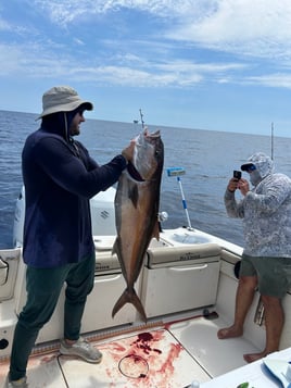 24 hr Tuna safari
