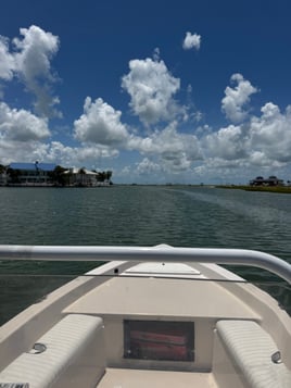 2HR Boat Ride/ Dolphin Watch