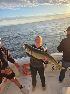 Trolling For Salmon Trout