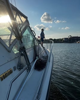 Trolling For Salmon Trout