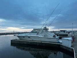 Trolling For Salmon Trout