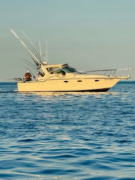 Trolling For Salmon Trout