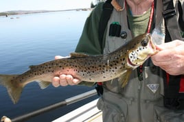 Maine Open Water Fishing Trips