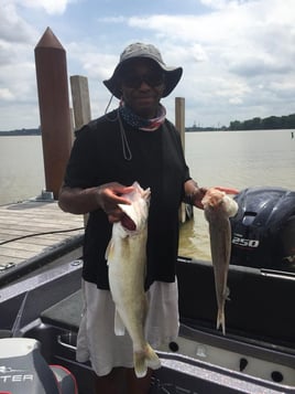 Full Day Trip – Walleye