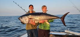 Full Day Offshore Shark/Tuna