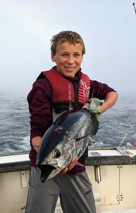 Full Day Offshore Shark/Tuna