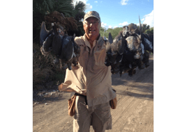 White Wing Dove Hunting