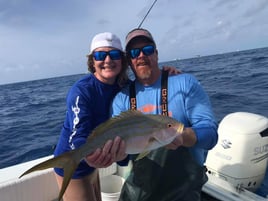 Reef & Inshore Fishing
