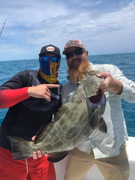 Reef & Inshore Fishing