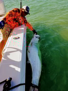 Backcountry / Flats Fishing Trip