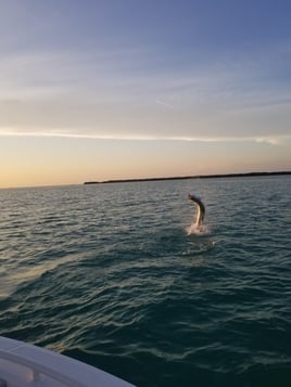 Backcountry / Flats Fishing Trip