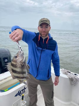 Sheepshead Fishing in Galveston, Texas