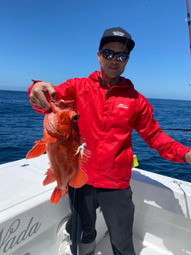 Half Day Charter