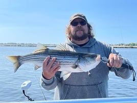 4 hr Inshore Striper and Blues