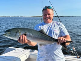 4 hr Inshore Striper and Blues