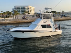 8 hr Red Snapper/Vermillion Snapper