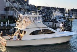 8 Hour Offshore Wreck Fishing