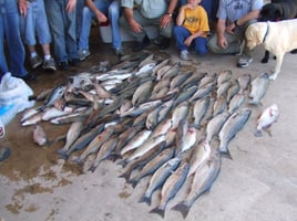 Lake Texoma Fishing Trip