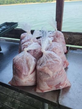 Lake Texoma Fishing Trip