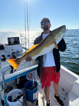 4 hour inshore fishing trip 