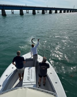 Miami Beach Tarpon Trip