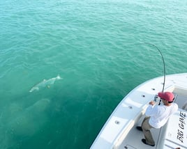 Miami Beach Tarpon Trip