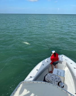 Miami Beach Tarpon Trip