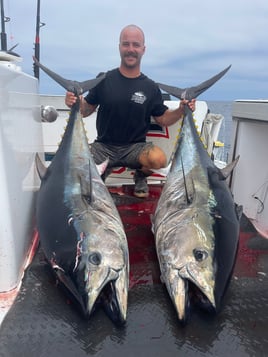 Trophy Bluefin 