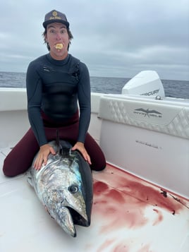 Trophy Bluefin 