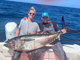 Trophy Bluefin 