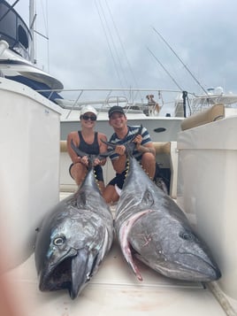 Trophy Bluefin 