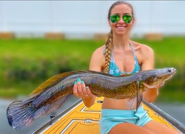 Florida Snakehead Fishing 