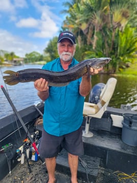 Florida Snakehead Fishing 