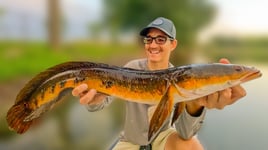 Florida Snakehead Fishing 