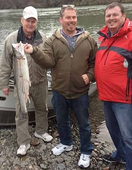 Steelhead Fishing Trip