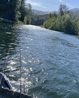 Steelhead Fishing Trip