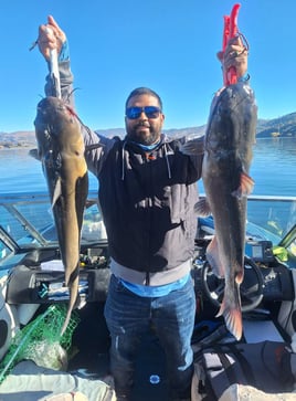 Catfish and Crappie Fishing Trip